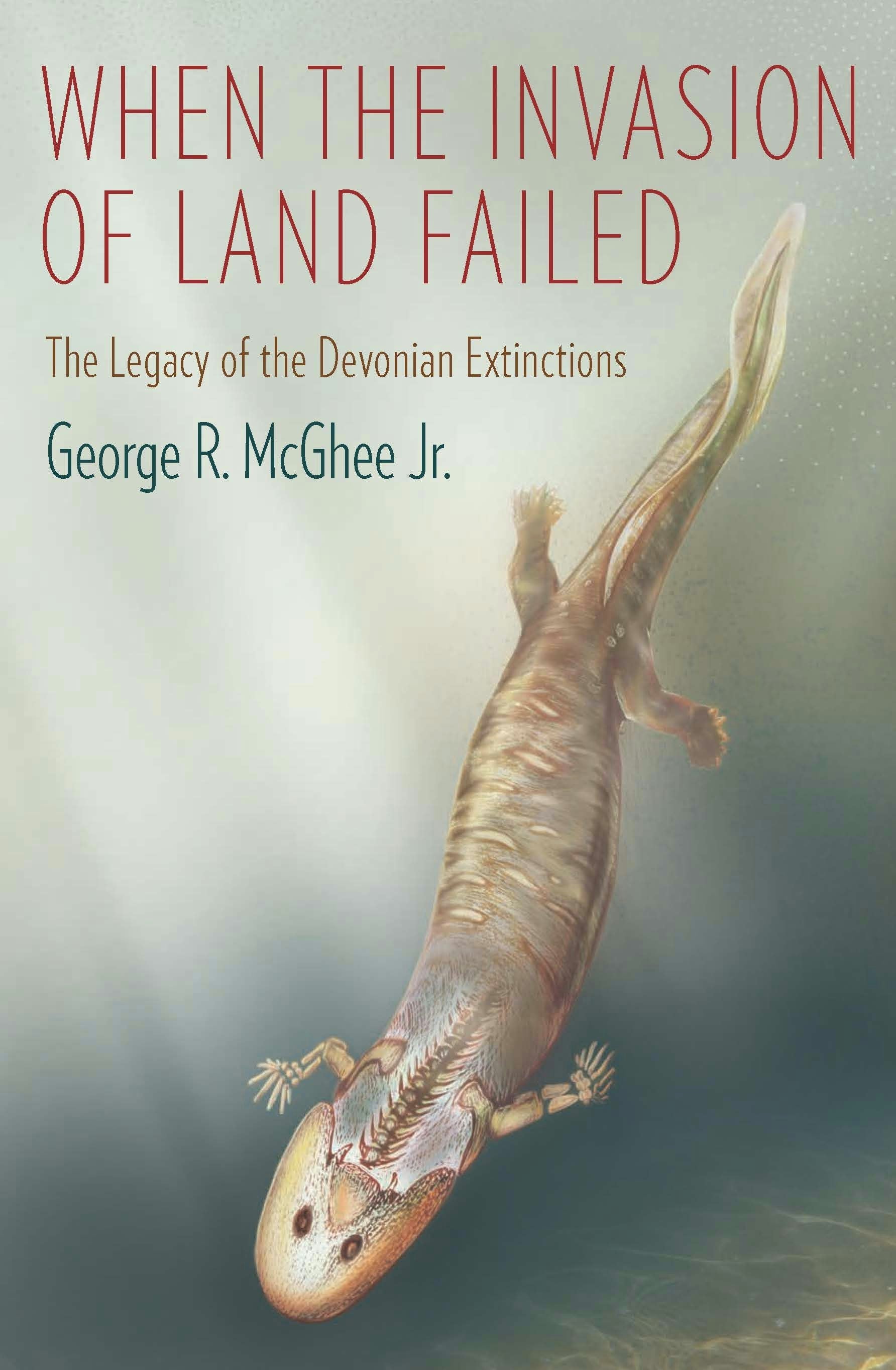 Book cover image for When the Invasion of Land Failed ISBN: 9780231160575